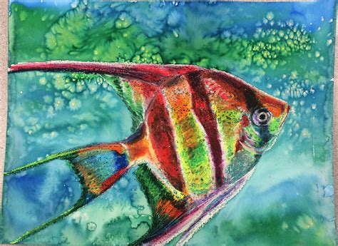 Angel Fish Oil pastel with watercolor wash by Kathy McMillan ...