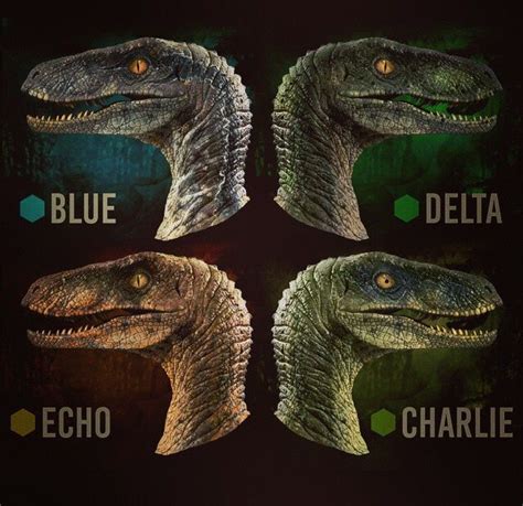 The Raptor Squad! | Jurassic world, Blue jurassic world, Jurassic world raptors