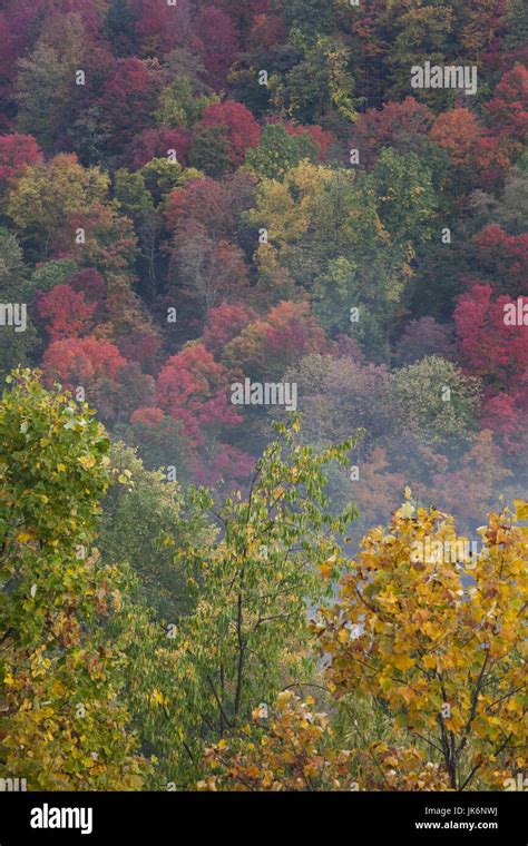 West virginia fall foliage hi-res stock photography and images - Alamy