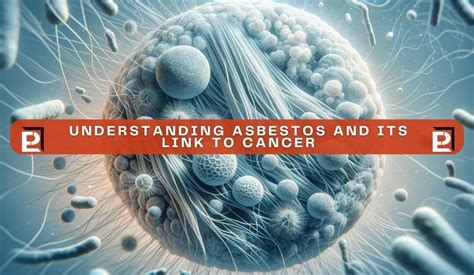 Asbestos And Cancer: Understanding Risks And Prevention | Peerless Environmental