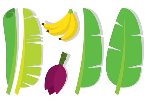 Banana Leaf and Fruit 103190 Vector Art at Vecteezy