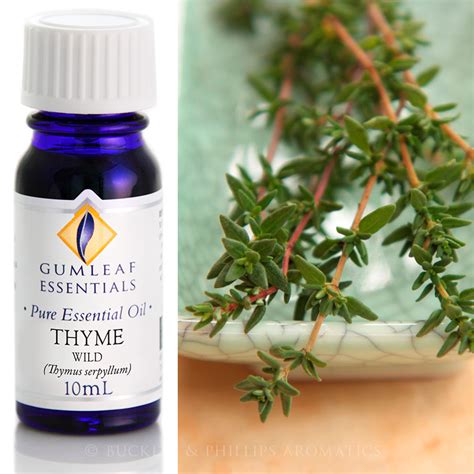 Thyme Essential Oil