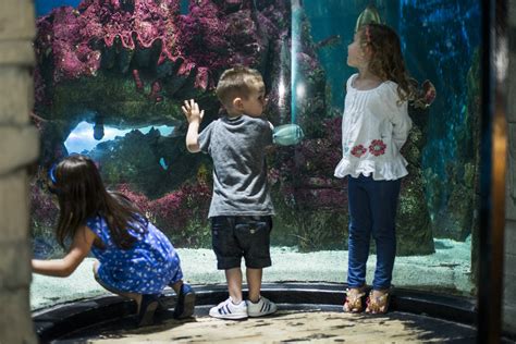 Group Trips - Tynemouth Aquarium