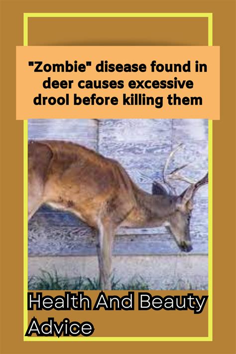 Zombie disease found in deer causes excessive drool before killing them