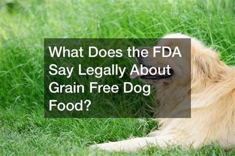 What Does the FDA Say Legally About Grain Free Dog Food? - Legal News Letter