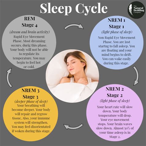 What is a Sleep Cycle? – The Natural Bedding Company