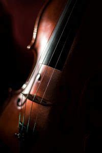 Best Viola Strings for The Best Sound