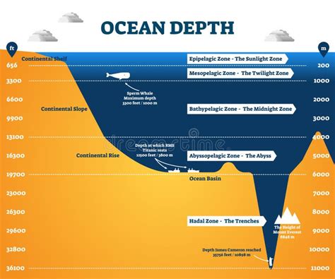 Oceanografía Ilustraciones Stock, Vectores, Y Clipart – (1,172 ...