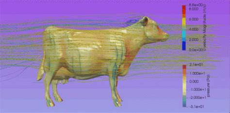 Aerodynamics Cow GIF - Aerodynamics Cow Aerodynamic Cow - Discover ...