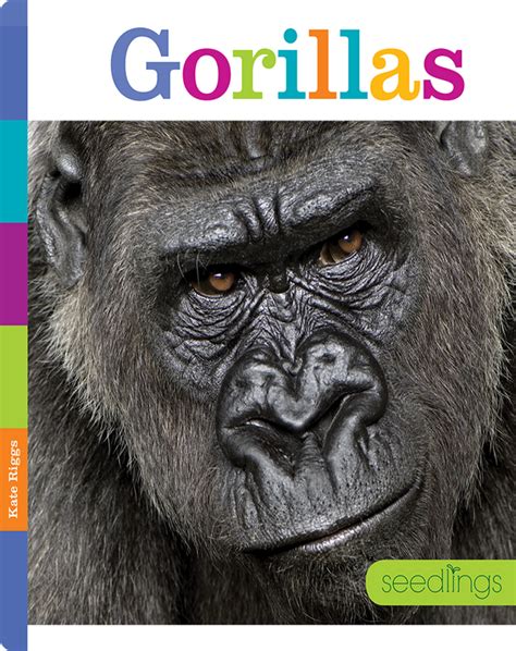 Gorillas Children's Book by Kate Riggs | Discover Children's Books ...