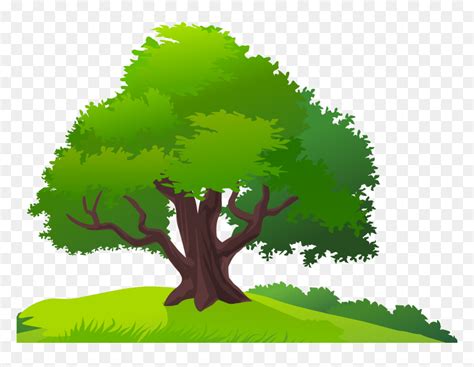 Mango Tree Clip Art, HD Png Download - vhv