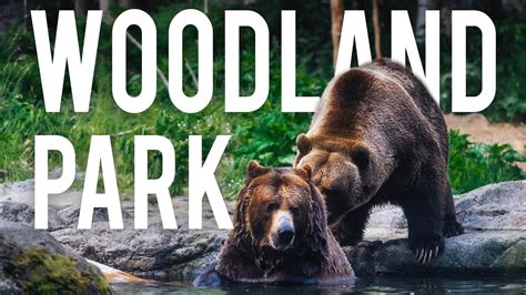 The Best Exhibits at Woodland Park Zoo - Seattle, WA - YouTube