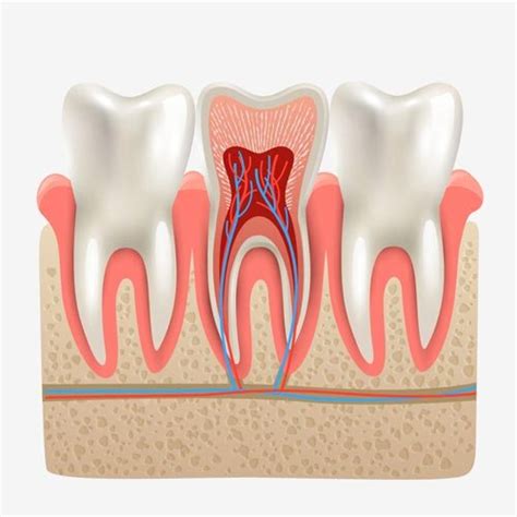 baby root canal recovery - Jenell Chase