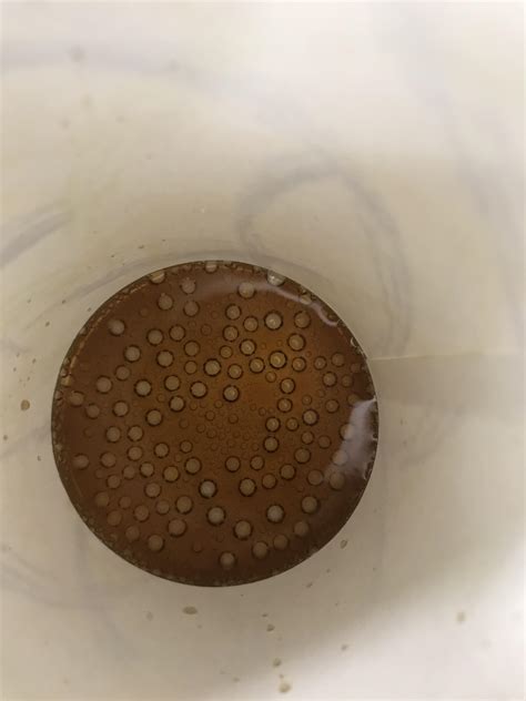 The way these bubbles were in my drink when I was almost finishing it : r/oddlysatisfying