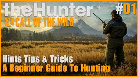 Hints Tips & Tricks, A Beginners Guide To Hunting | Layton Lakes #01 | theHunter: Call Of The ...