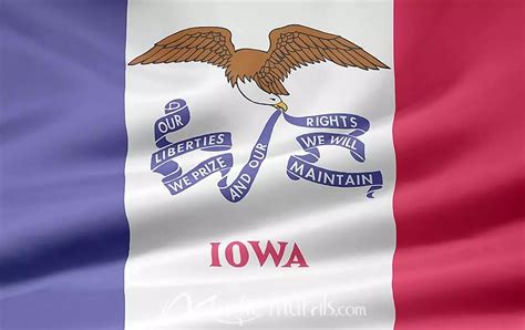 Iowa State Flag Wallpaper Wall Mural by Magic Murals