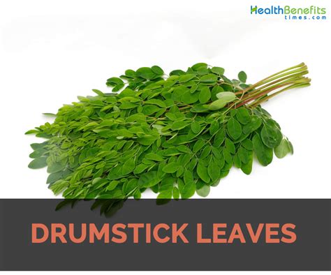 Drumstick Leaves Nutrition Facts | Blog Dandk