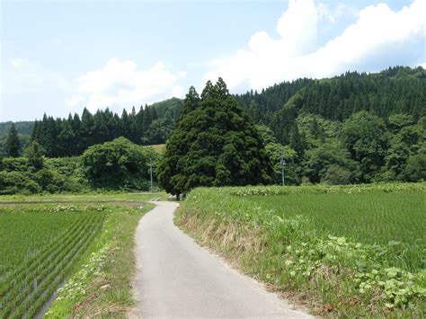 File:Country Roads (2596494589).jpg - Wikimedia Commons