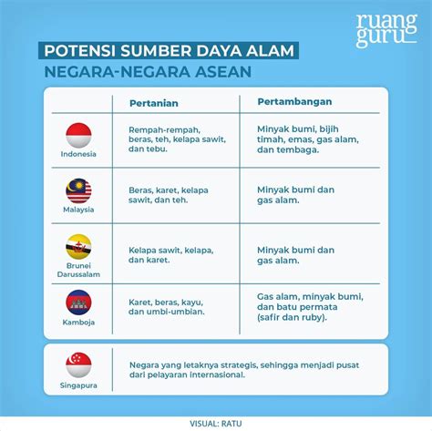 Potensi Sumber Daya Alam Negara-Negara ASEAN | Geografi Kelas 8