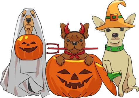 Halloween Costume Dogs, Halloween, Pet, Dogs PNG Transparent Clipart ...