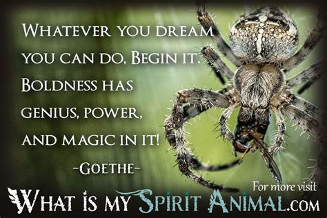 Spider Quotes & Sayings | Animal Quotes & Sayings