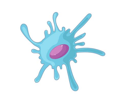 Biology Cells Clipart In Biology