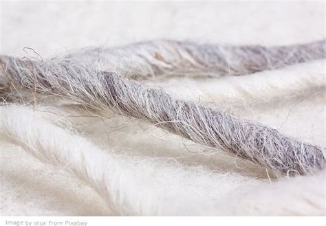 Animal Fibers : The 23 main types that turn into beautiful ANIMAL FABRIC - SewGuide