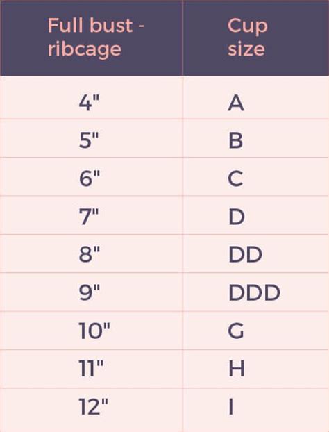 Bra Cup Size Chart Inches