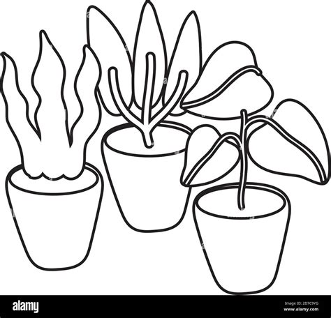 houseplants in ceramic pots isolated icons vector illustration design Stock Vector Image & Art ...