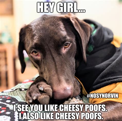 Hey Girl... - Imgflip