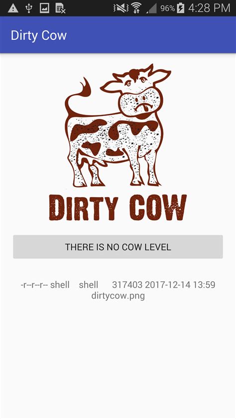 GitHub - davidqphan/DirtyCow: Dirty Cow proof of concept app