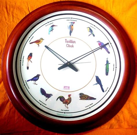 Hemaki Lab Multicolor Singing Bird Clock, For Anywhere at best price in Thane