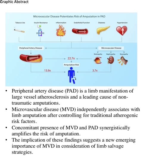 Hypertension And Peripheral Vascular Disease - Captions Hunter