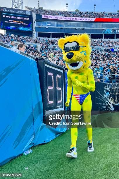 585 Jacksonville Jaguars Mascot Photos & High Res Pictures - Getty Images