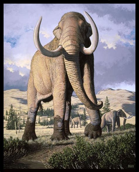 Art illustration - { Prehistoric Animals } | Prehistoric wildlife, Ancient animals, Megafauna