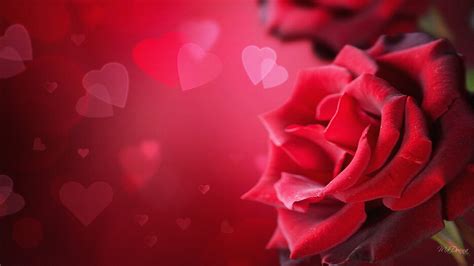 Valentines Day Desktop Wallpaper - Wallpaper, High Definition, High ...