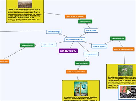 biodiversity - Mind Map