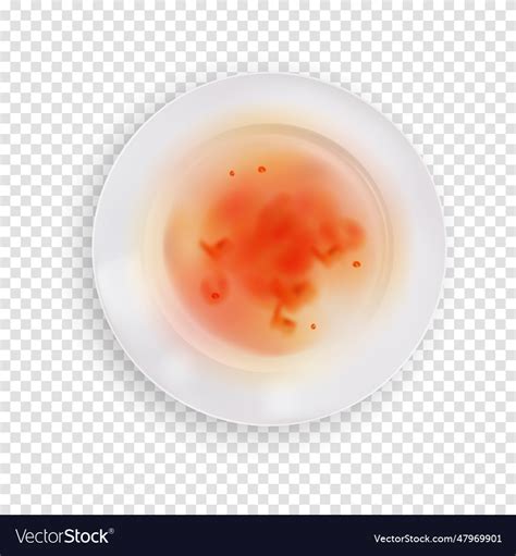 Dirty realistic plate isolated on transparent Vector Image