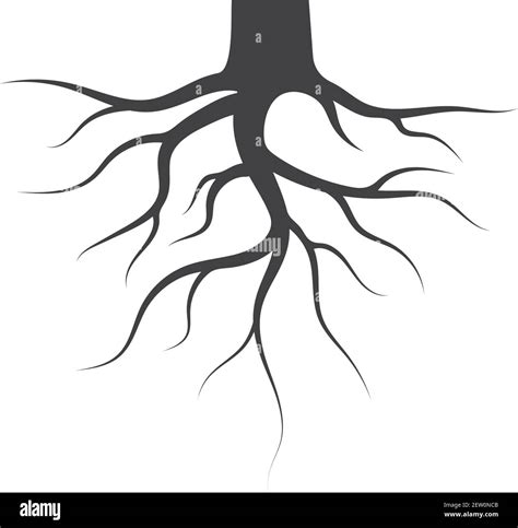 tree roots vector icon illustration design template Stock Vector Image & Art - Alamy