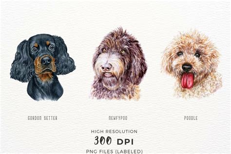 70+ Watercolor Dog Breeds – MasterBundles