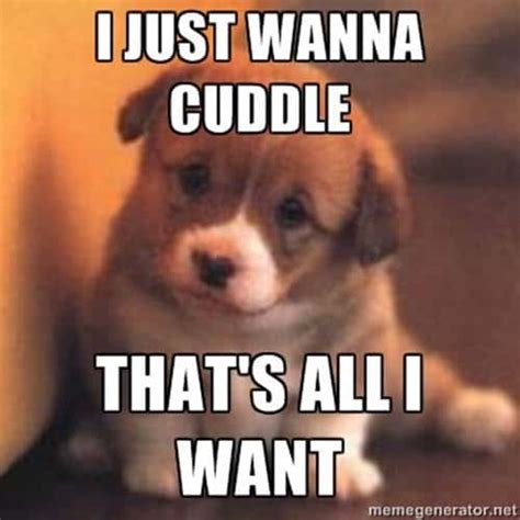 25 Cutest Cuddle Memes - SayingImages.com