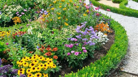 8 Ideas for Perennial Garden Plans | Angie's List