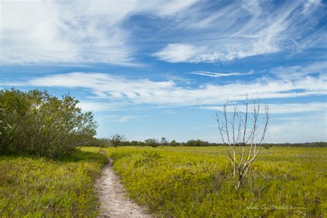 Hiking Florida – Flamingo, Everglades National Park | Nick Botner