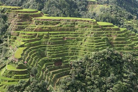 Banaue Rice Terraces - Wikiwand