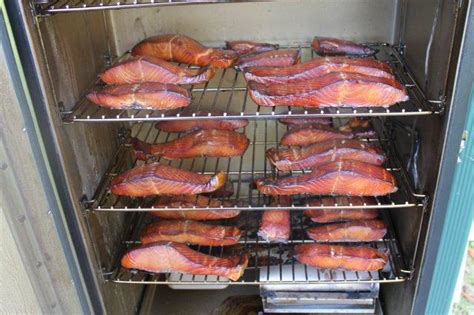 Masterbuilt Electric Smoker Smoked Salmon Recipe | Bryont Rugs and Livings