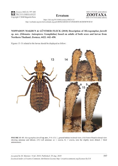 (PDF) Erratum: NOPPADON MAKBUN & GÜNTHER FLECK (2018) Description of Microgomphus farrelli sp ...