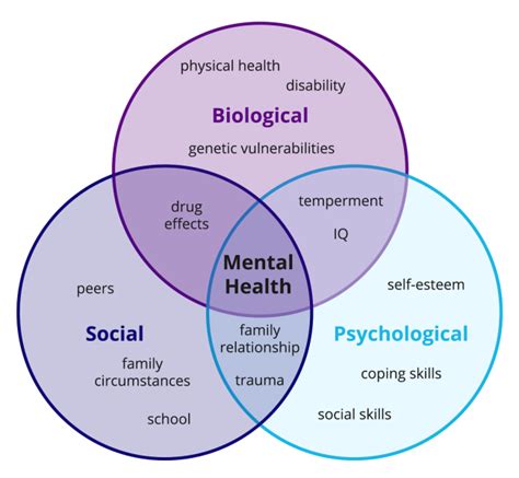 What is the Biopsychosocial Model? - DMR