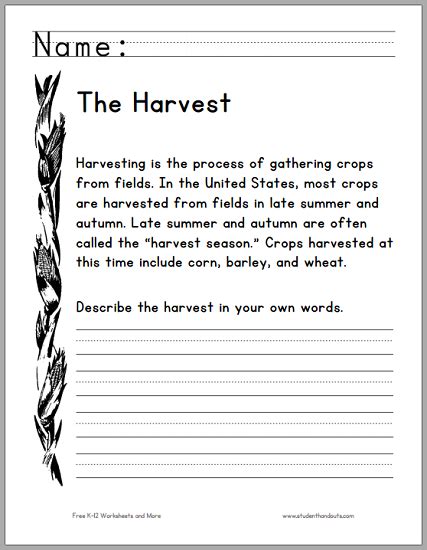 Harvest Season Primary Worksheet | Student Handouts