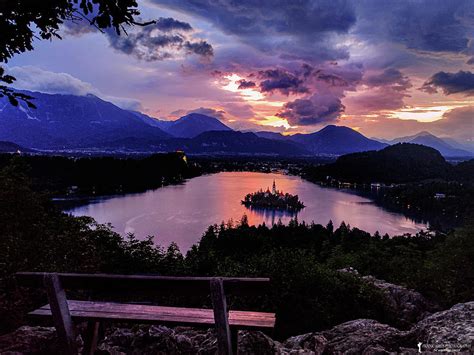 Lake Bled Sunrise Photograph by Franklin Ames - Fine Art America