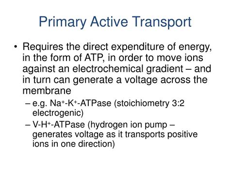 PPT - Primary Active Transport PowerPoint Presentation, free download ...